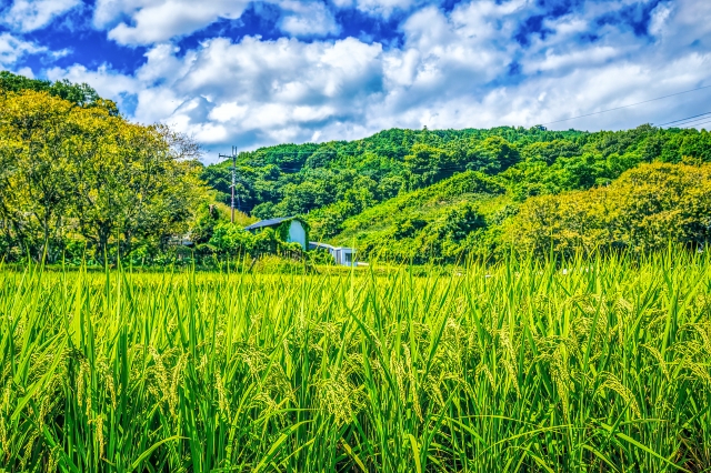 土地売却でふるさと納税の控除限度額は増える？仕組みと賢い活用法を解説