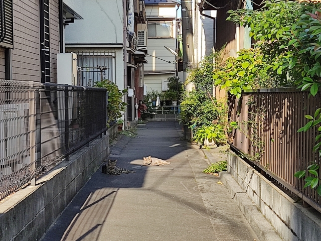 【完全ガイド】再建築不可物件は売却できる?相場・売却方法・高く売るコツを徹底解説